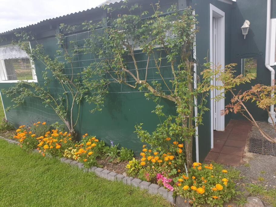 Handsome Hills Dairy Retreat Won Wron Exteriör bild