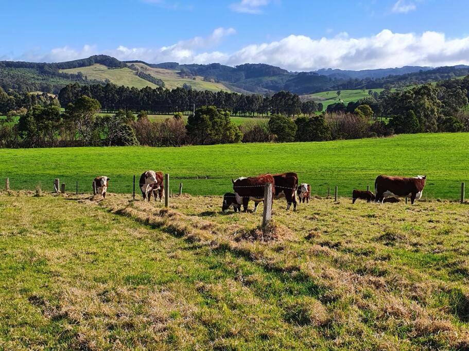 Handsome Hills Dairy Retreat Won Wron Exteriör bild