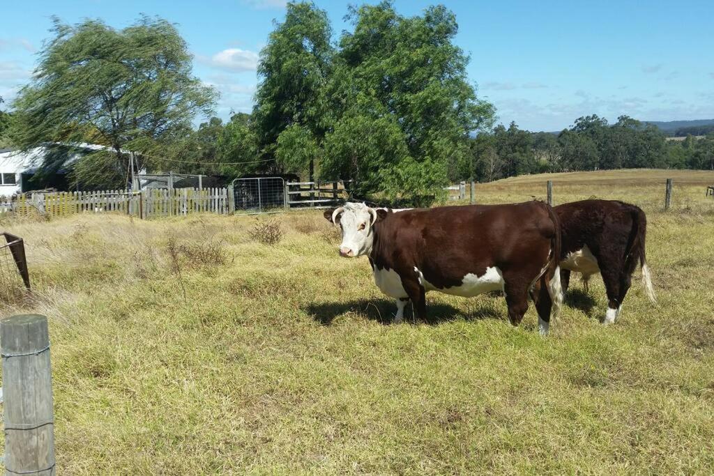 Handsome Hills Dairy Retreat Won Wron Exteriör bild